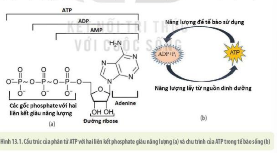 DiagramDescription automatically generated