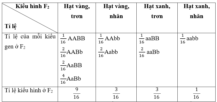 Giáº£i vá» bÃ i táº­p Sinh há»c 9 | Giáº£i VBT Sinh há»c 9