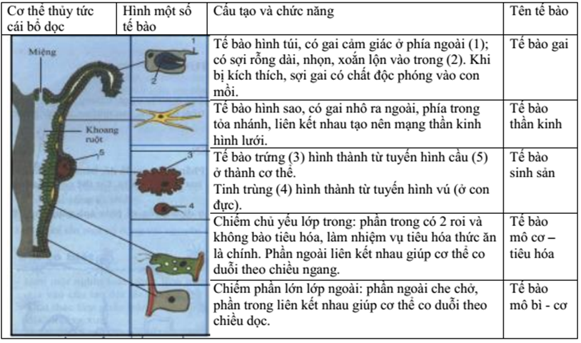 Giáº£i vá» bÃ i táº­p Sinh há»c 7 | Giáº£i VBT Sinh há»c 7