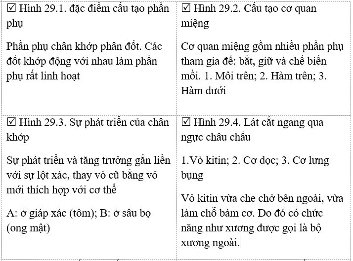 Giáº£i vá» bÃ i táº­p Sinh há»c 7 | Giáº£i VBT Sinh há»c 7