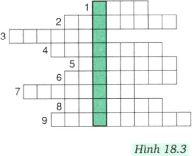 Giải bài tập Vật Lý 8 | Giải Lý lớp 8