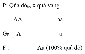 Giáº£i vá» bÃ i táº­p Sinh há»c 9 | Giáº£i VBT Sinh há»c 9